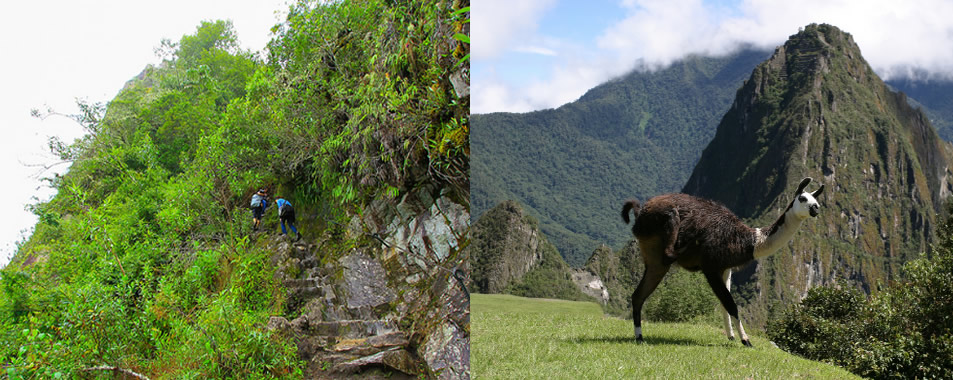 Subir al Huayna Picchu luego de hacer el Camino Inca?