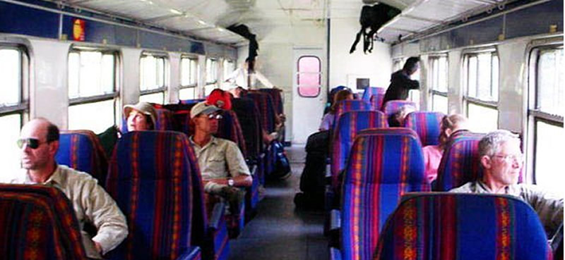 ¿Vistadome o Expedition?-Comparativa de trenes a Machu Picchu